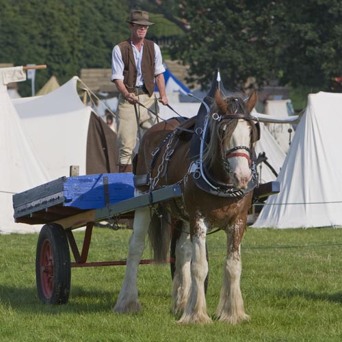 fh-11Au7-2008