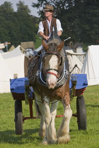 fh-11Au7-2010