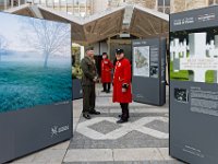 USWar1Cent-6Ap7-828329  Fields of Battle, Lands of Peace at the Guildhall Yard London