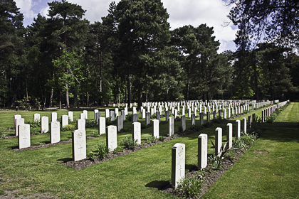 Chelsea Pensioners Plot