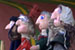 puppets and puppeteer
