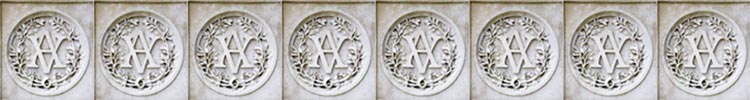 v a emblem