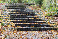 Steps of Individuality JFK Memorial