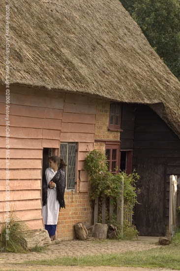 Victorian Society-10