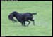 Beat0179gf